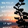 torresjose749